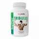 Tribulus 1000mg * 60 capsule